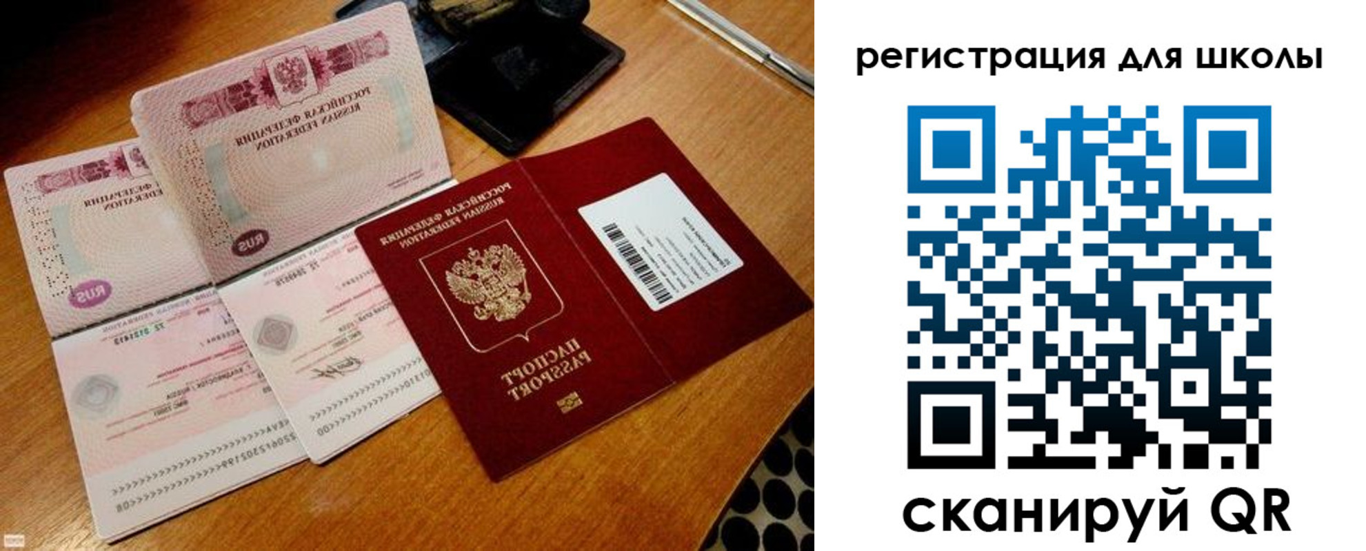 прописка законно в Купино
